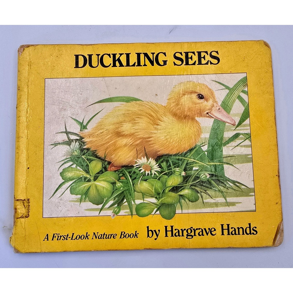 RARE Vintage 1985 Duckling Sees Hargrave Hands Nature Board Book Grosset